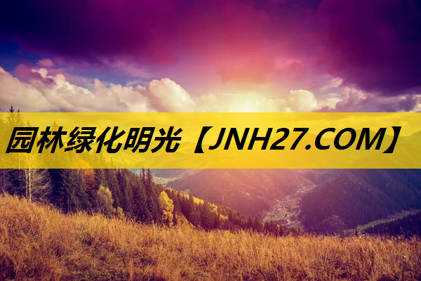园林绿化明光