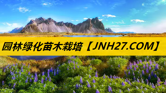 园林绿化苗木栽培