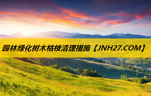 园林绿化树木枯枝清理措施