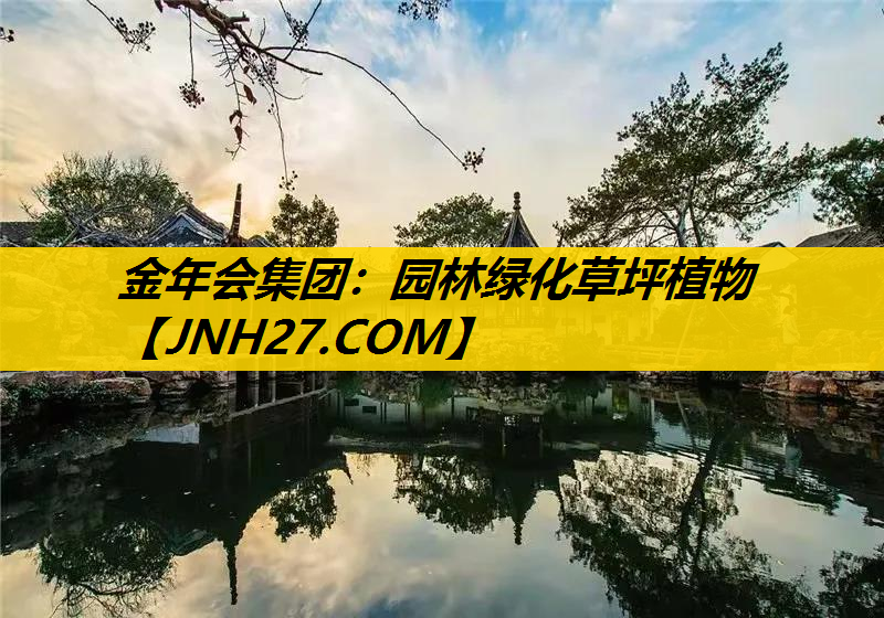 园林绿化草坪植物