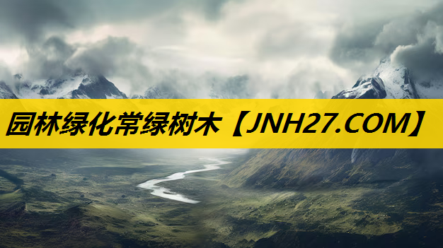 园林绿化常绿树木 园林绿化常绿树木
