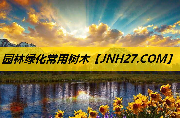 园林绿化常用树木