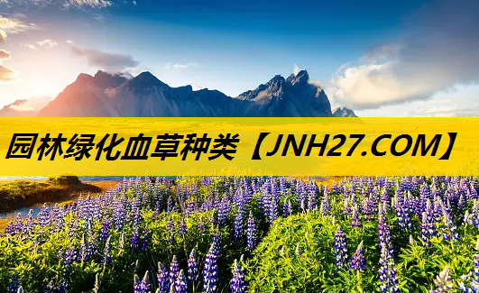 园林绿化血草种类