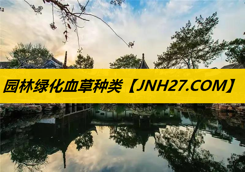 园林绿化血草种类