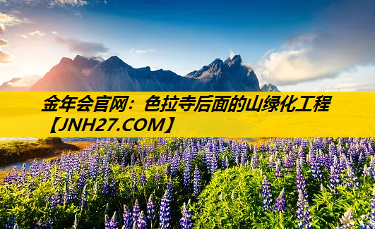色拉寺后面的山绿化工程