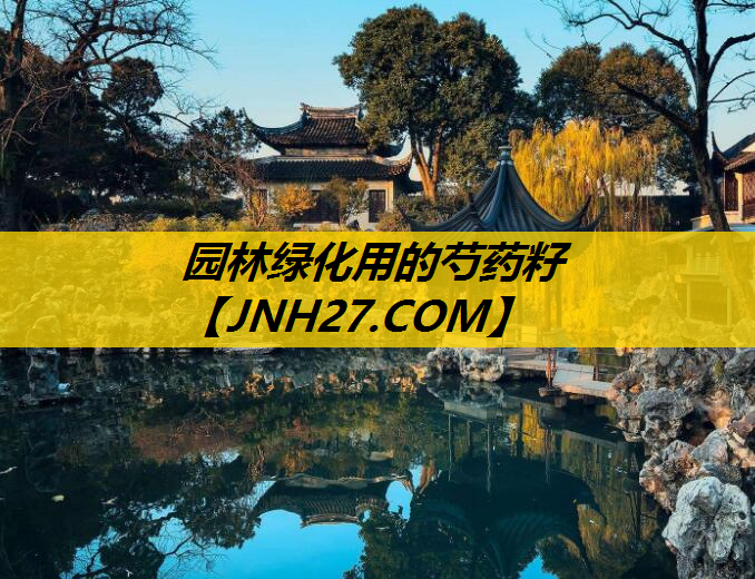 园林绿化用的芍药籽