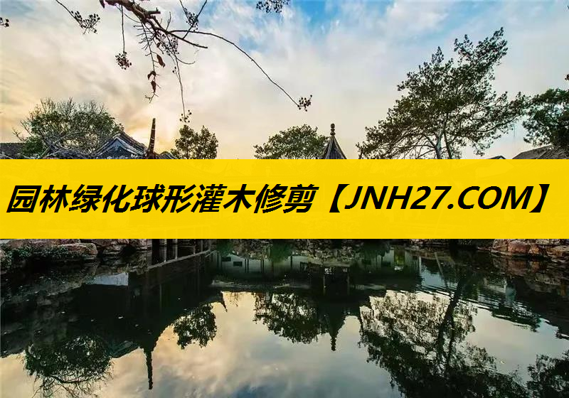 园林绿化球形灌木修剪