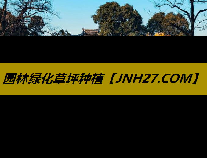 园林绿化草坪种植