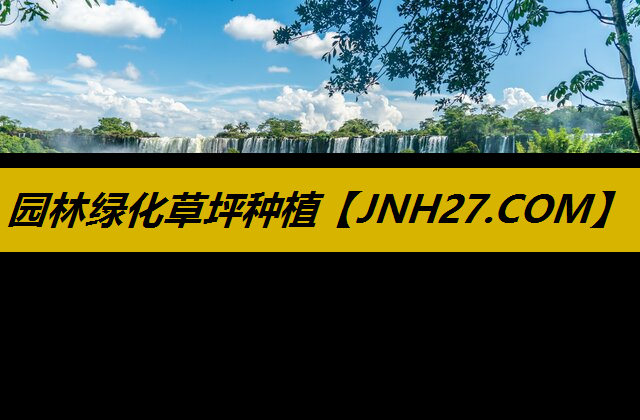 园林绿化草坪种植