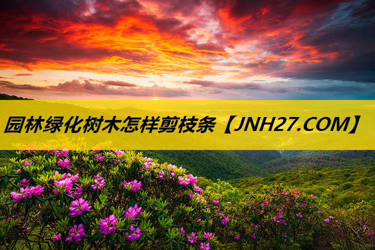 园林绿化树木怎样剪枝条