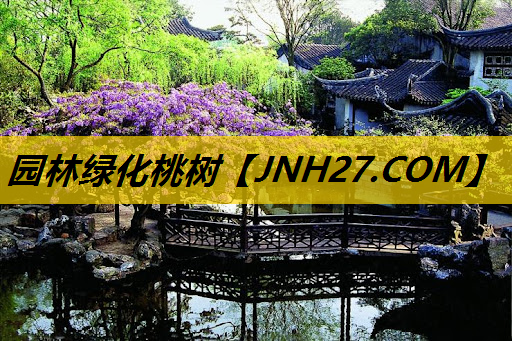 园林绿化桃树