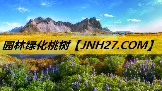 园林绿化桃树