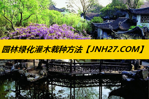 园林绿化灌木栽种方法
