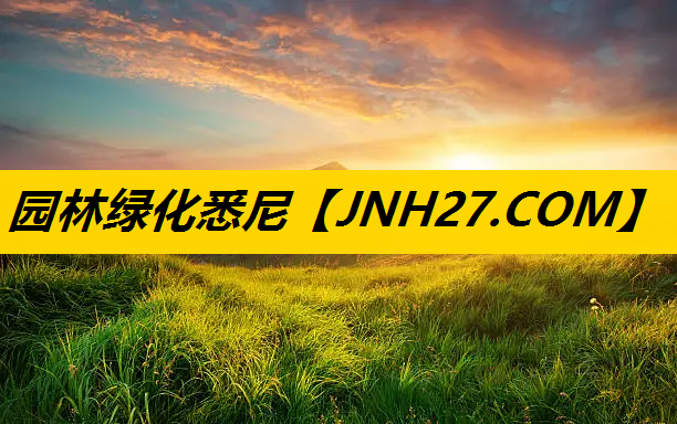 园林绿化悉尼
