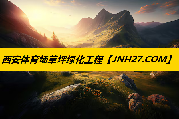 西安体育场草坪绿化工程