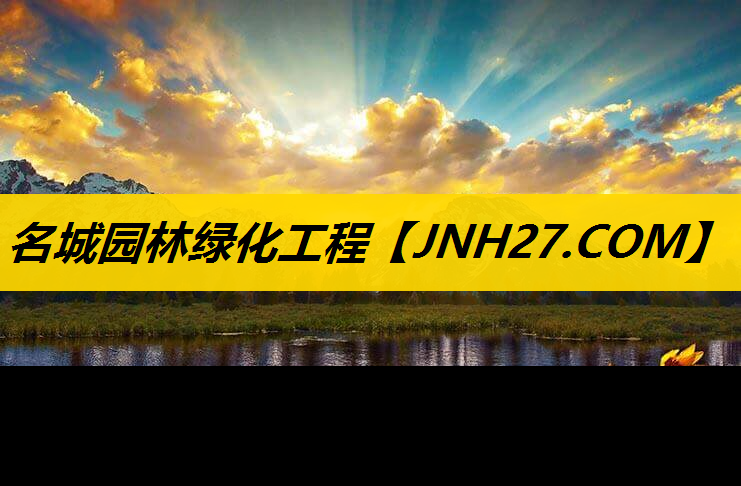 名城园林绿化工程
