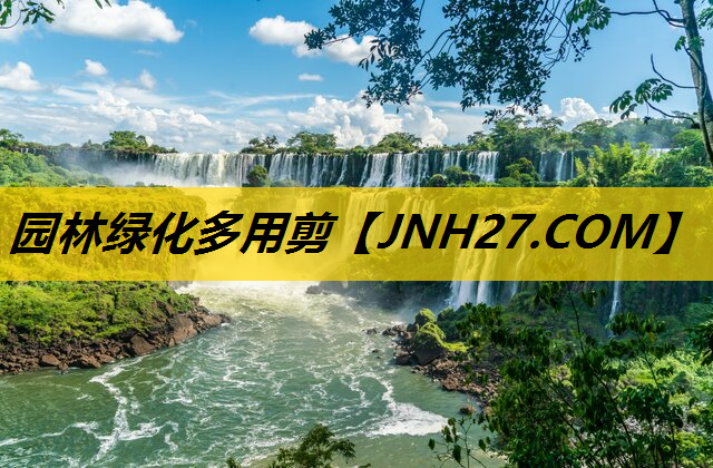 园林绿化多用剪