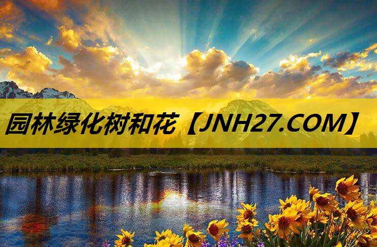 园林绿化树和花