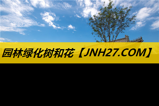 园林绿化树和花