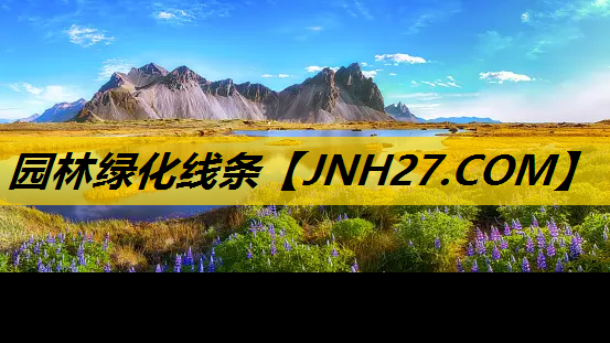 园林绿化线条