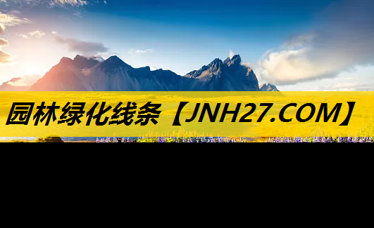 园林绿化线条