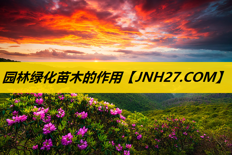 园林绿化苗木的作用