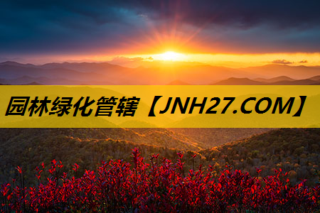 园林绿化管辖
