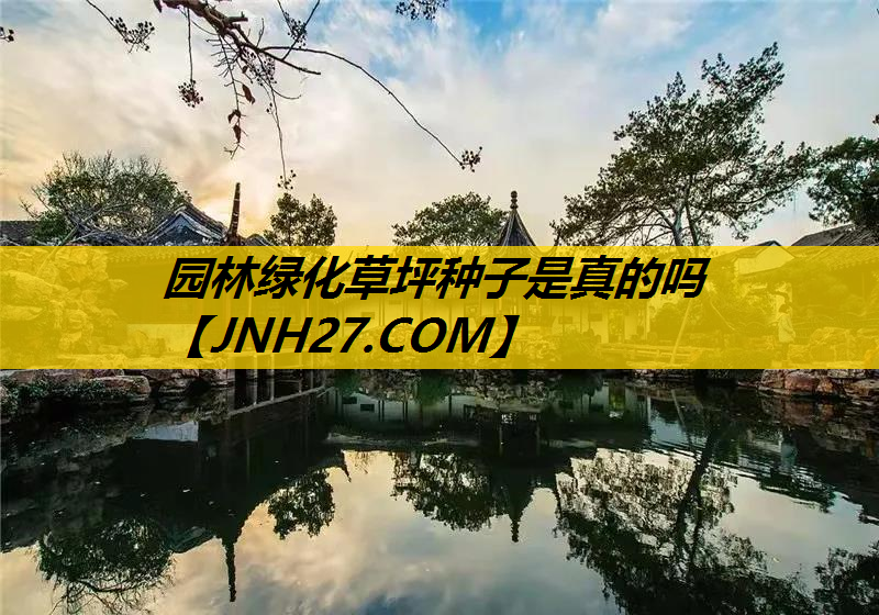 园林绿化草坪种子是真的吗