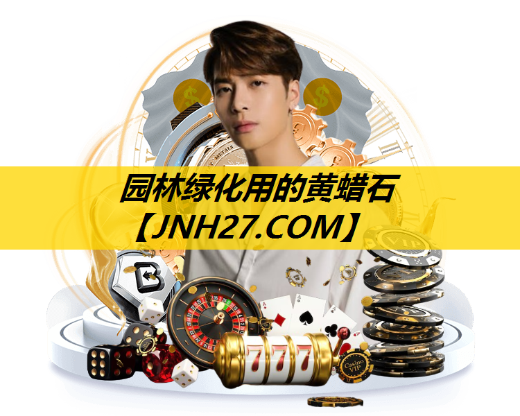 园林绿化用的黄蜡石