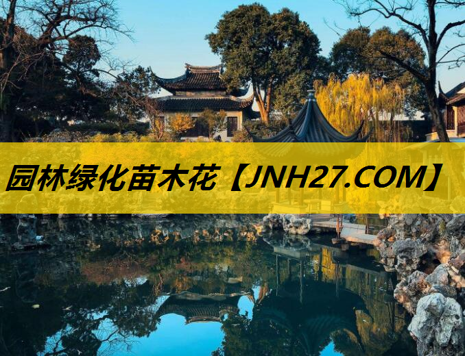 园林绿化苗木花