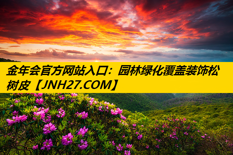 园林绿化覆盖装饰松树皮 园林绿化覆盖装饰松树皮