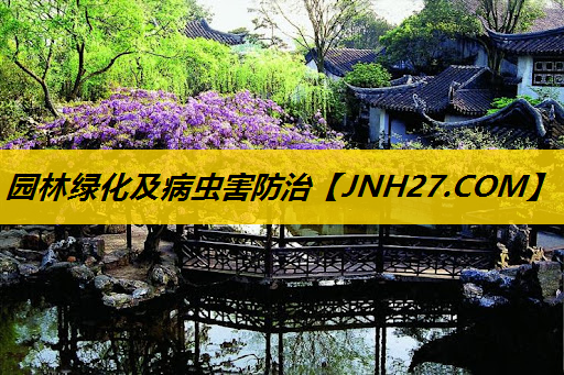 园林绿化及病虫害防治