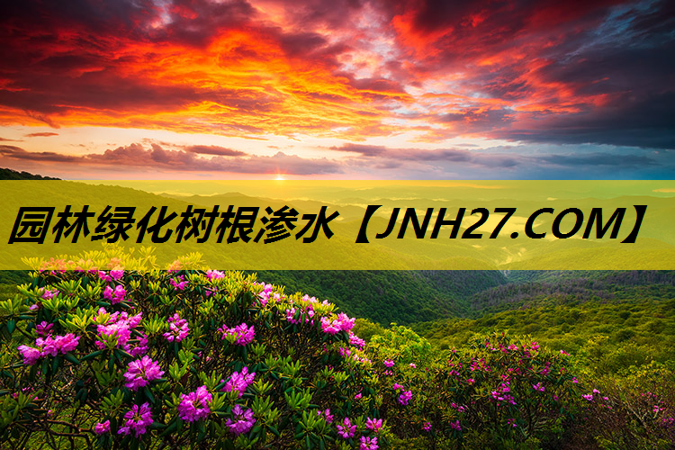 园林绿化树根渗水