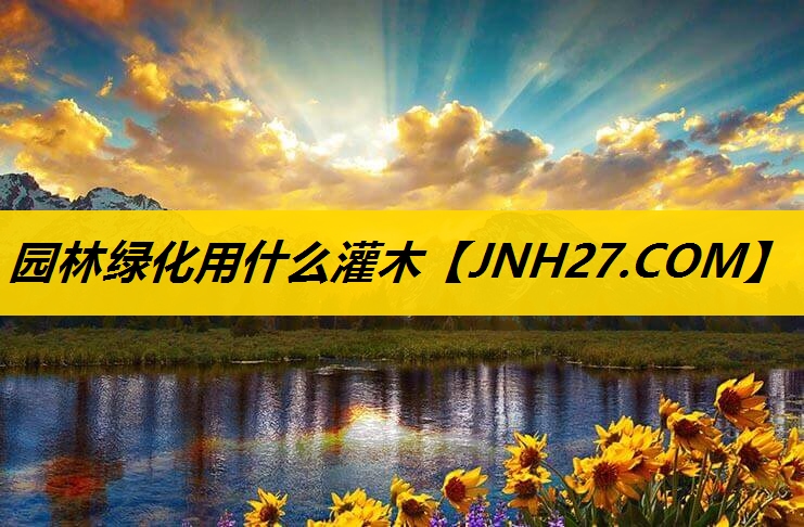 园林绿化用什么灌木