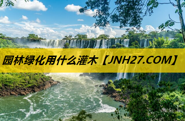 园林绿化用什么灌木