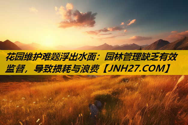 花园维护难题浮出水面：园林管理缺乏有效监督，导致损耗与浪费