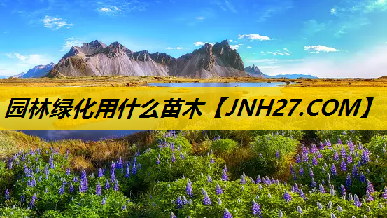 园林绿化用什么苗木