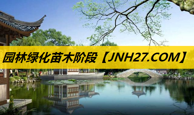 园林绿化苗木阶段