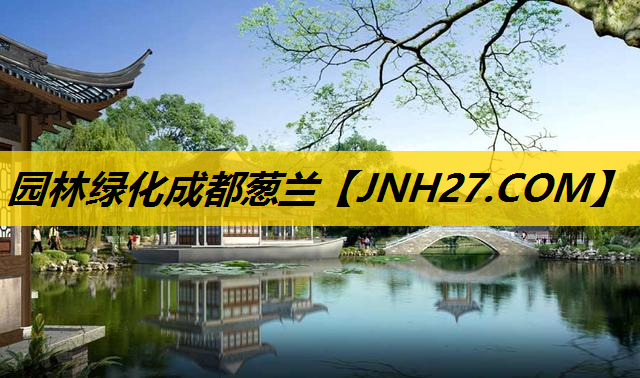 园林绿化成都葱兰
