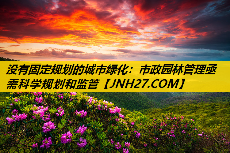没有固定规划的城市绿化：市政园林管理亟需科学规划和监管