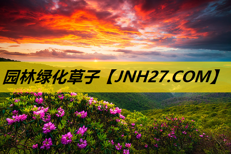 园林绿化草子